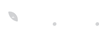 꼬미꼬미